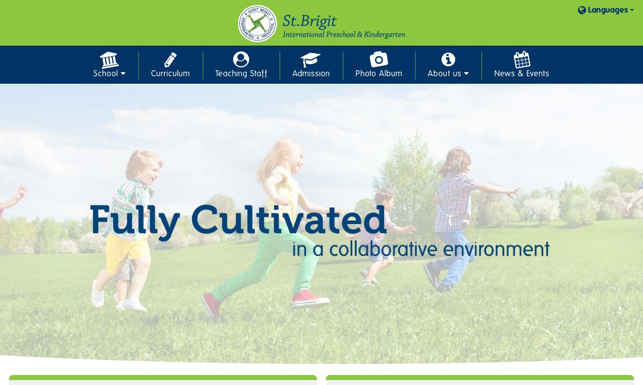 Screenshot of the Home Page of SAINT BRIGIT INTERNATIONAL KINDERGARTEN